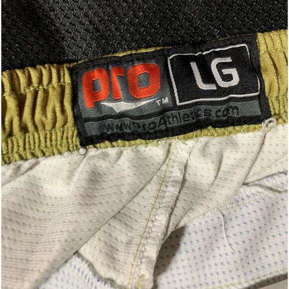 UPJ LAX Mountain Cats PITT-Johnstown PA PRO Basketball Ladies Womens Shorts Sz L - Picture 8 of 14